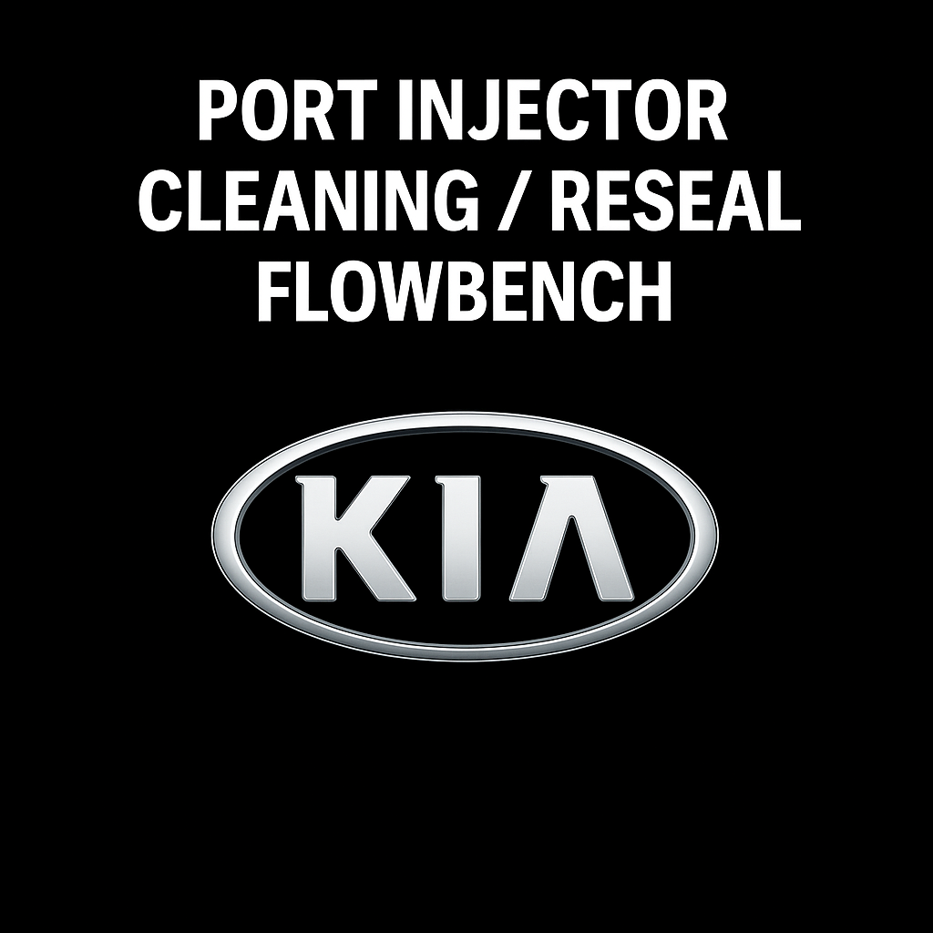 Kia Port Injector Testing, Cleaning, and Resealing Service
