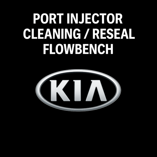 Kia Port Injector Testing, Cleaning, and Resealing Service