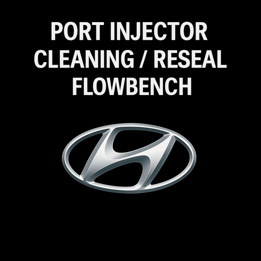 Hyundai Port Injector Testing, Cleaning, and Resealing Service