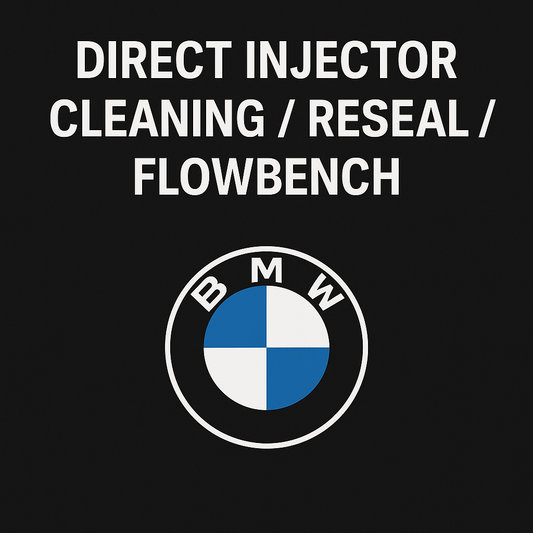BMW Direct Injector Testing, Cleaning, and Resealing Service