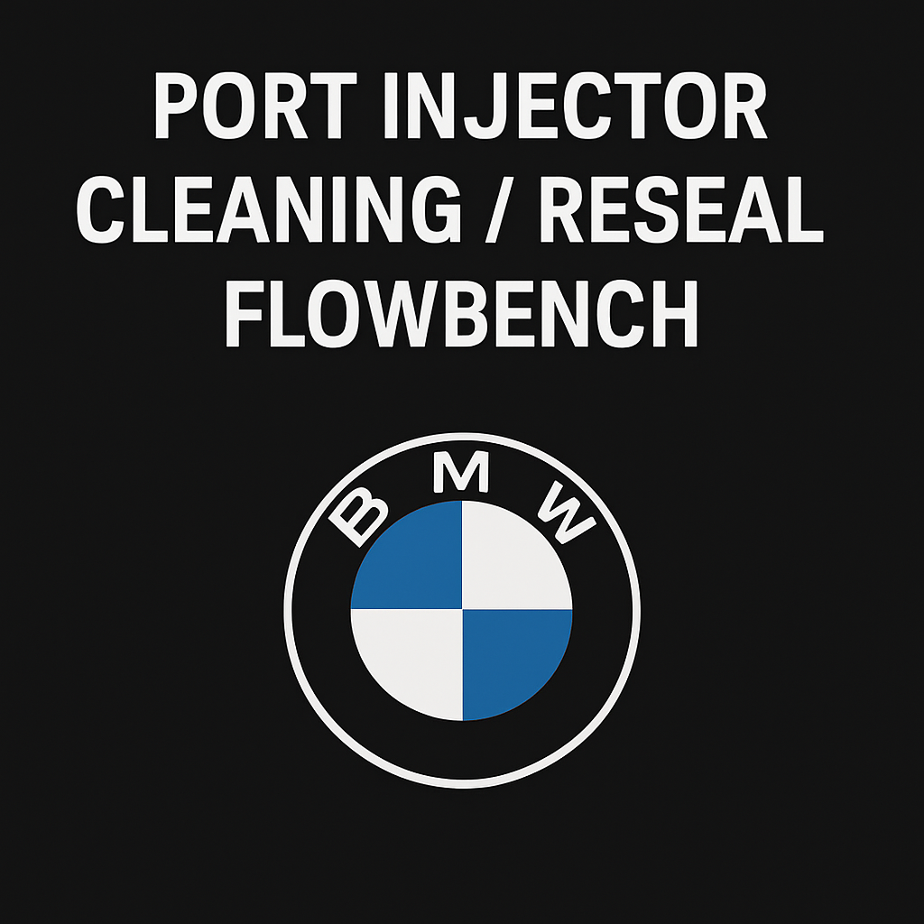 BMW Port Injector Testing, Cleaning, and Resealing Service