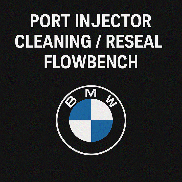 BMW Port Injector Testing, Cleaning, and Resealing Service