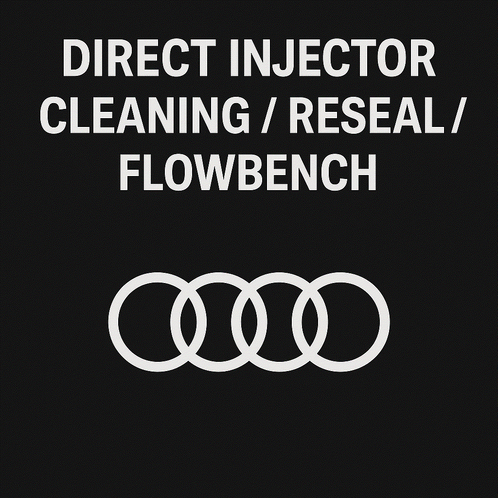 Audi direct injector testing and cleaning service with injectors and diagnostic equipment