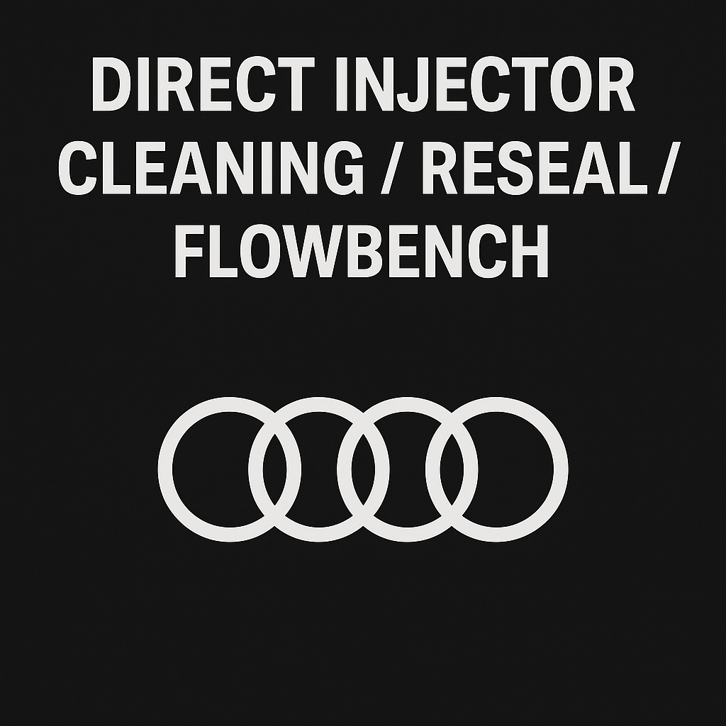 Audi Direct Injector Testing, Cleaning, and Resealing Service