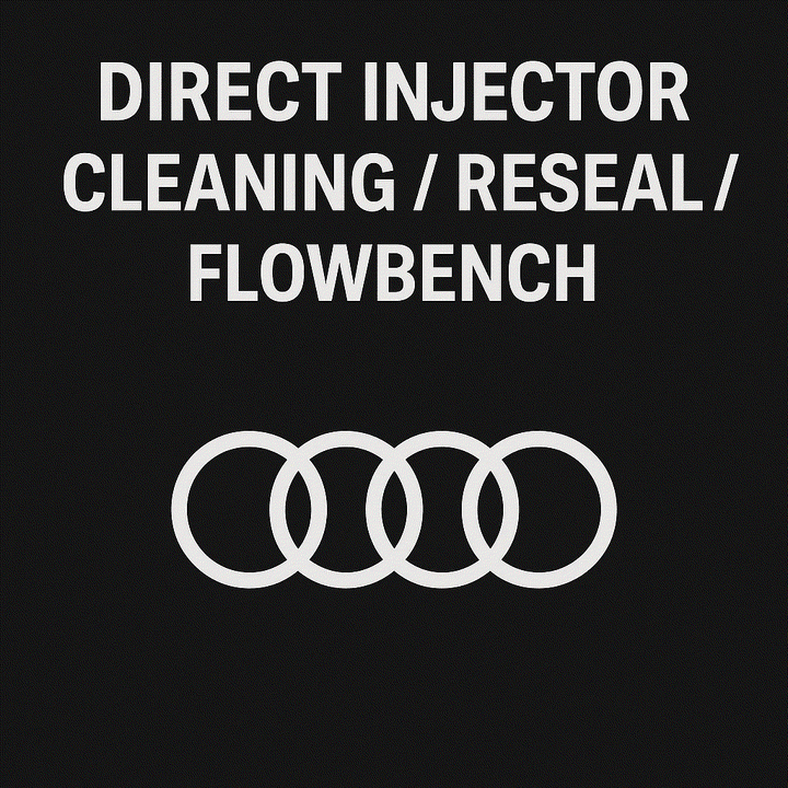Audi direct injector testing and cleaning service with injectors and diagnostic equipment