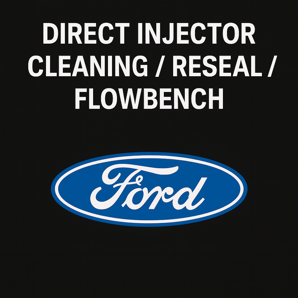Ford Direct Injector Testing, Cleaning, and Resealing Service