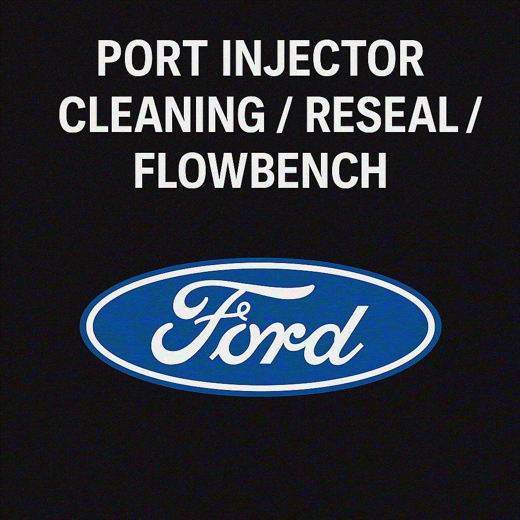Ford Port Injector Testing, Cleaning, and Resealing Service