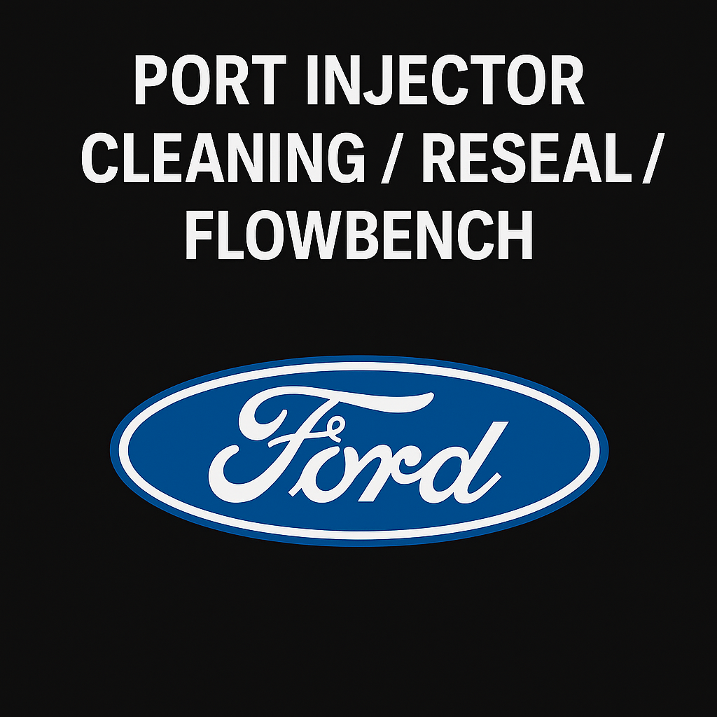 Ford Port Injector Testing, Cleaning, and Resealing Service