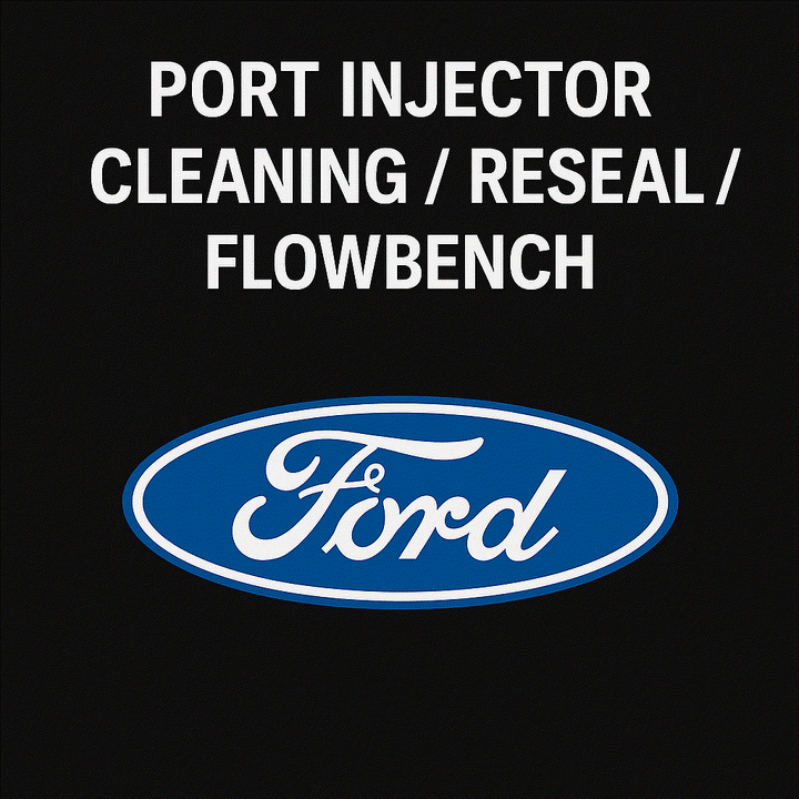 Ford Port Injector Testing, Cleaning, and Resealing Service